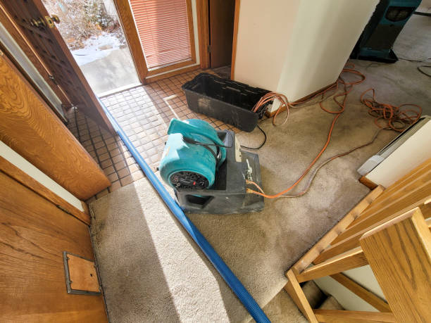 Best Water damage cleanup near me  in Fulton, MO