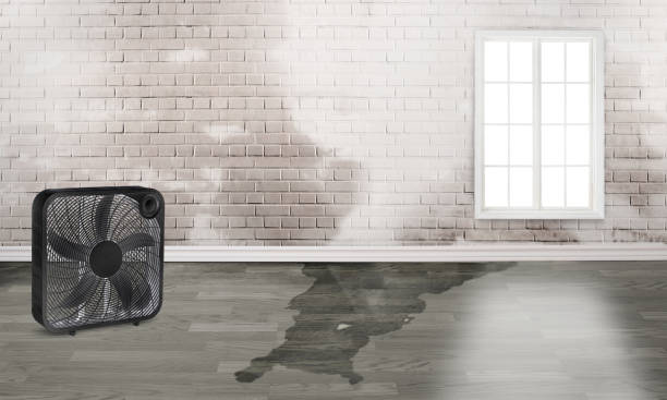 Best 24-hour water damage restoration  in Fulton, MO