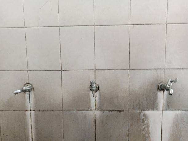 Best Water damage restoration specialists  in Fulton, MO