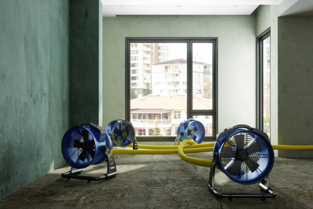 Best Commercial water damage restoration  in Fulton, MO