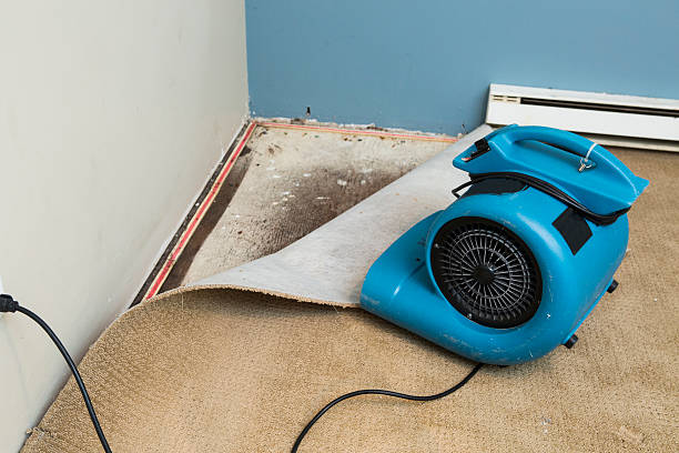 Best Local water damage restoration  in Fulton, MO